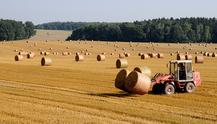 Un fermier qui prend sa retraite peut-il mettre fin à son bail à long terme ?