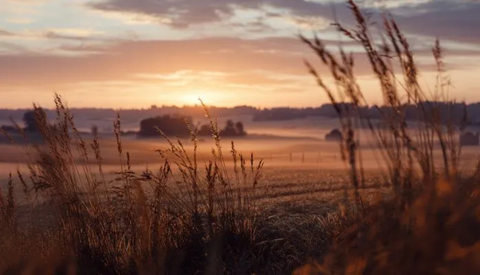 Le bail rural consenti par un coïndivisaire est opposable au donataire, dès lors que celui-ci en avait connaissance lors de la donation !