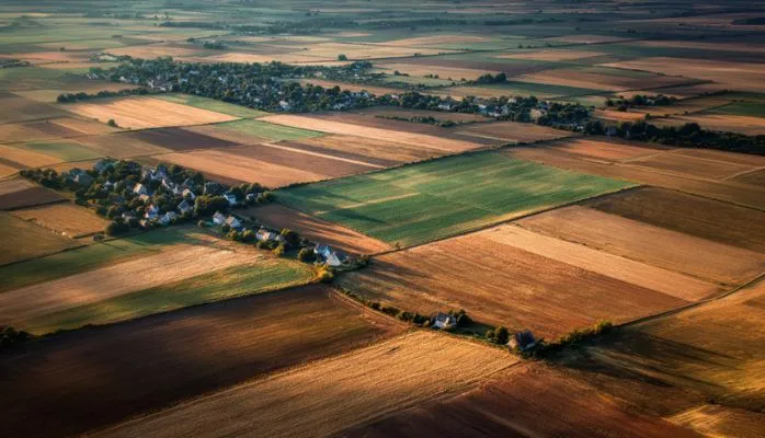Le droit de préemption du fermier ne s’exerce que sur les parcelles louées, sauf en cas d’indivisibilité du terrain