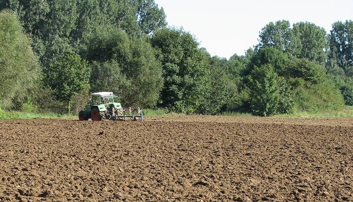 Déboisement sans autorisation